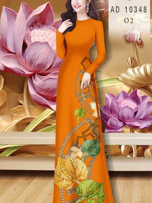 1607243972 533 vai ao dai dep (14)